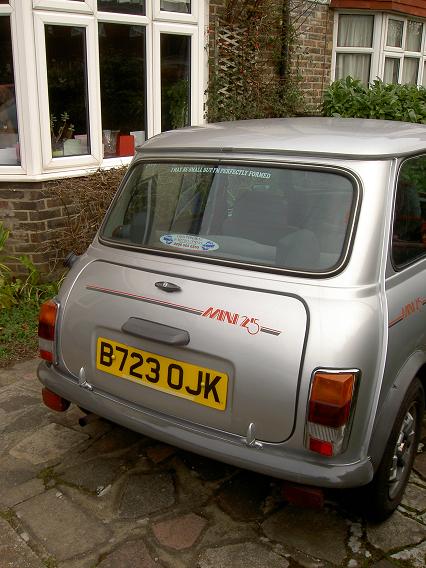 mini25